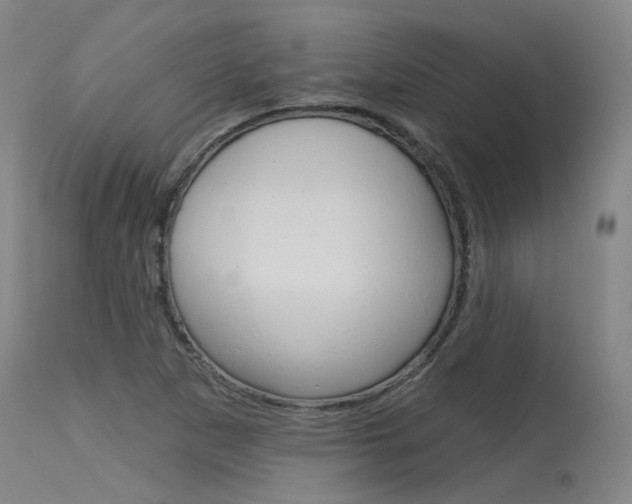 X0000115631265200911101111