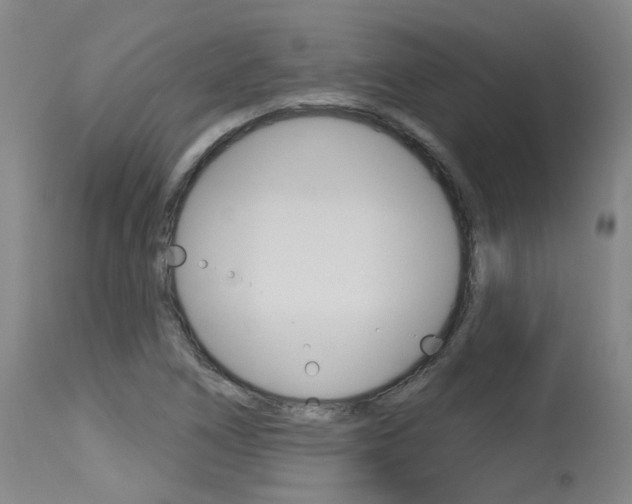 X0000115631266200911101111