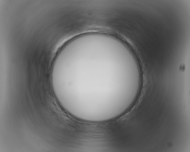 X0000115631267200911101111