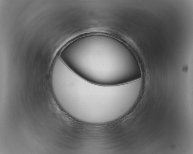 X0000115631268200911101111