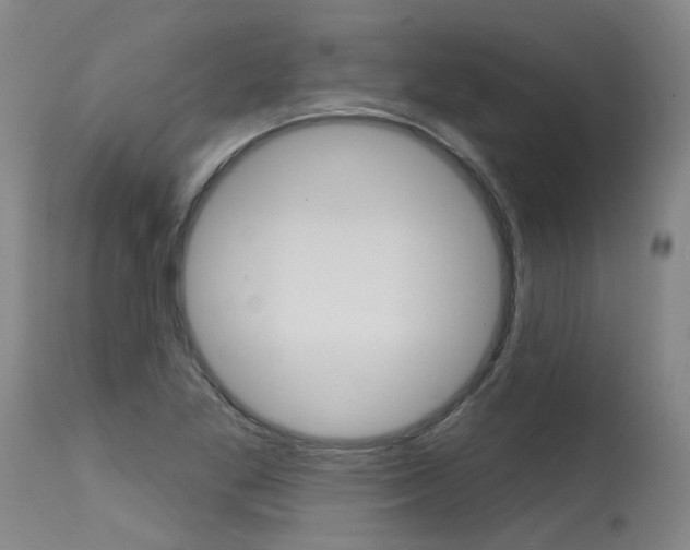 X0000115631269200911101111