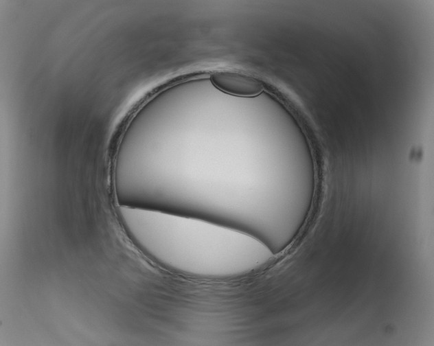 X0000115631270200911101111