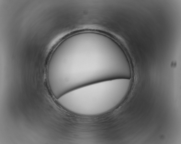 X0000115631271200911101111