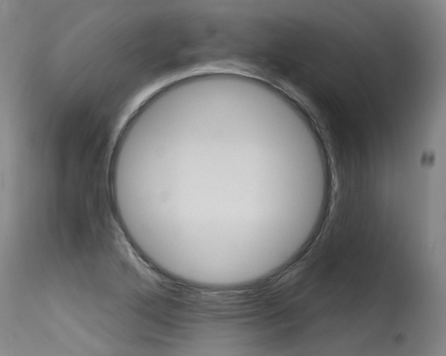 X0000115631272200911101111
