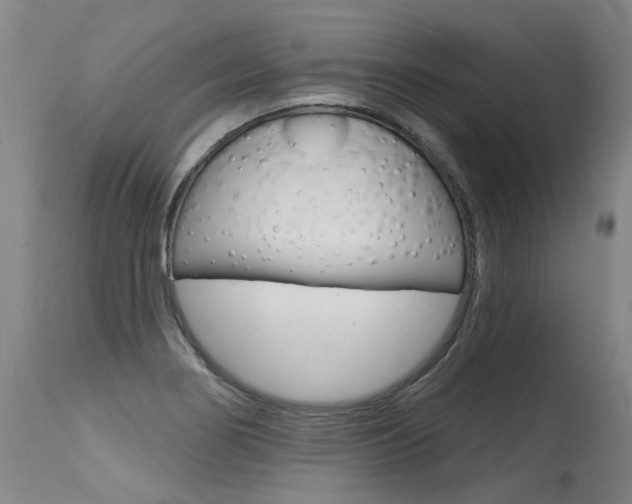 X0000115631274200911101111