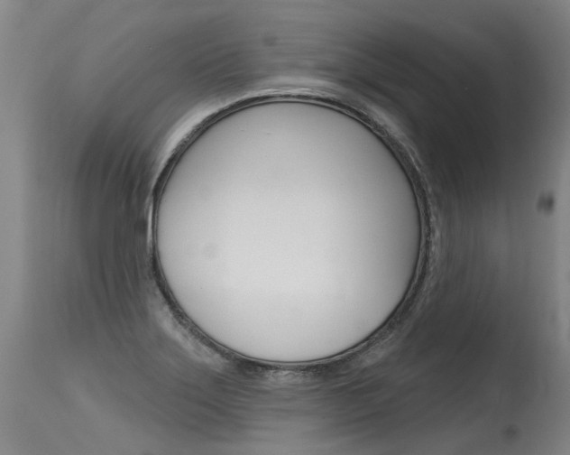 X0000115631275200911101111