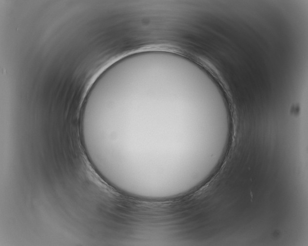 X0000115631276200911101111