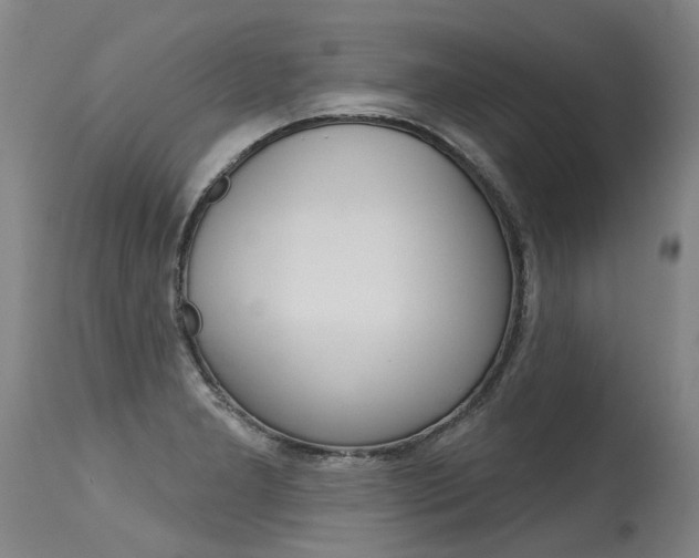 X0000115631277200911101111