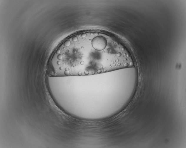 X0000115631279200911101111