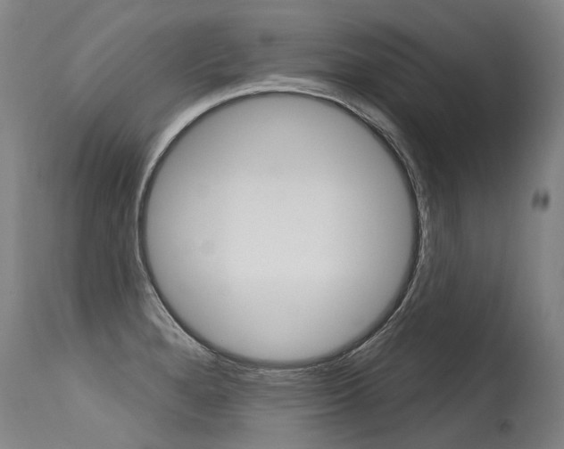 X0000115631280200911101111