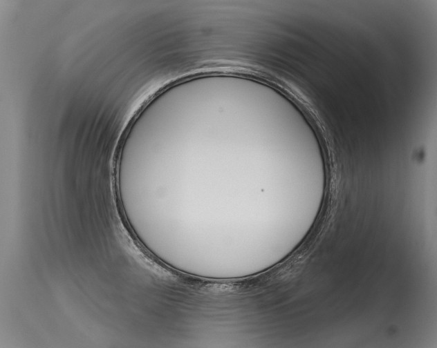 X0000115631283200911101111