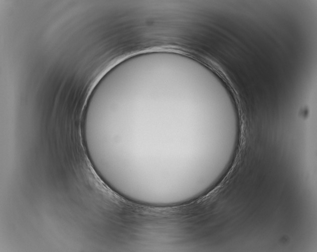 X0000115631284200911101110