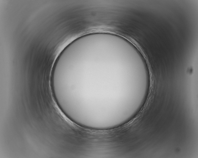 X0000115631285200911101110
