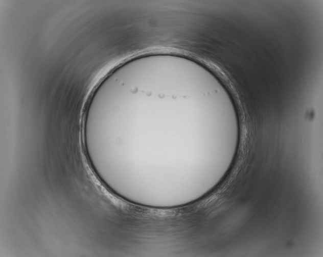 X0000115631286200911101110