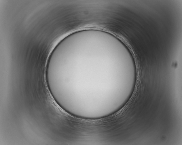 X0000115631288200911101110