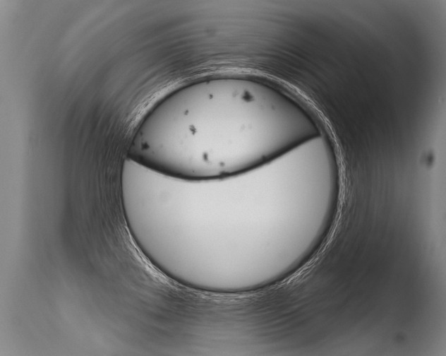 X0000115631289200911101110