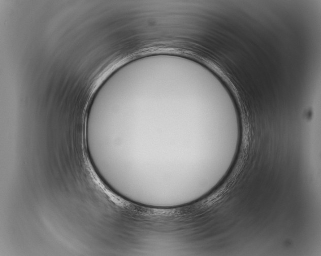 X0000115631290200911101110