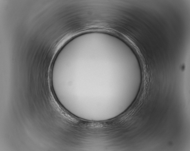 X0000115631291200911101110