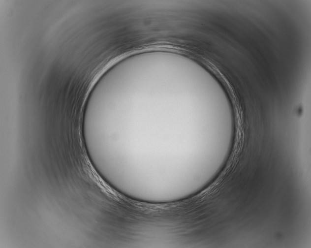 X0000115631292200911101110
