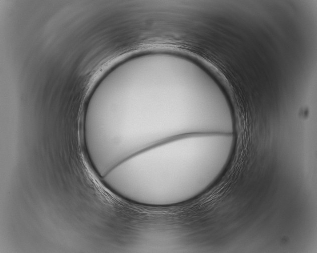 X0000115631295200911101110