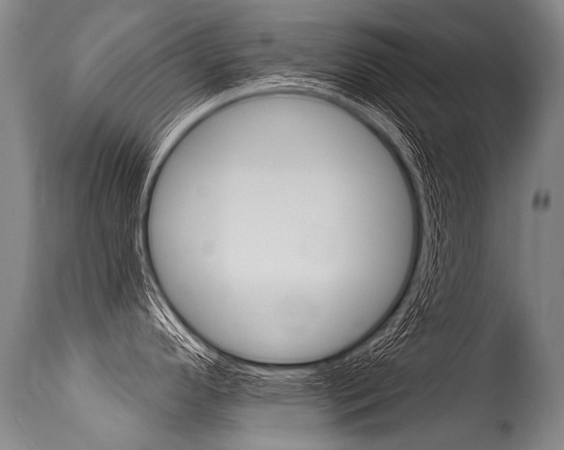 X0000115631296200911101110