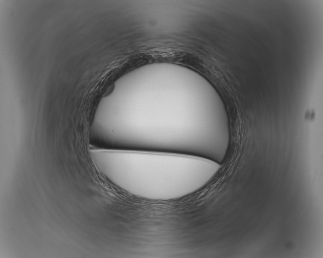 X0000115631297200911101110