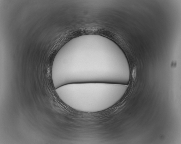 X0000115631299200911101110