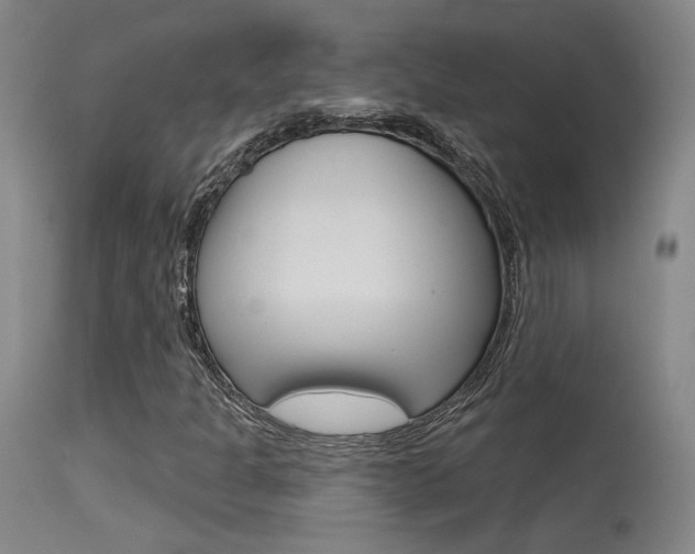 X0000115631301200911101110