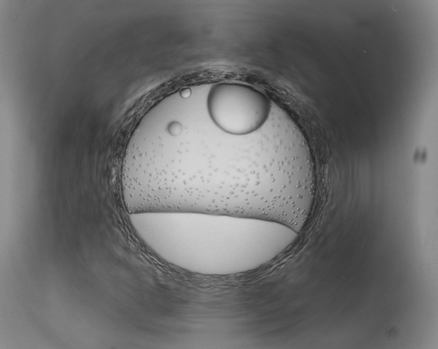 X0000115631302200911101110