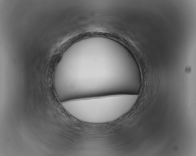 X0000115631303200911101110