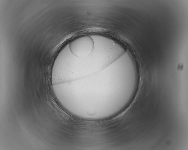X0000115631305200911101110