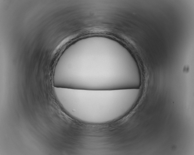 X0000115631306200911101110