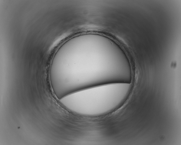 X0000115631309200911101110