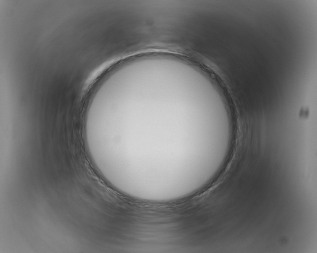 X0000115631310200911101110