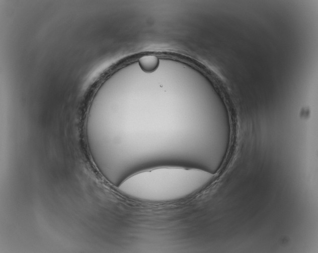 X0000115631311200911101110