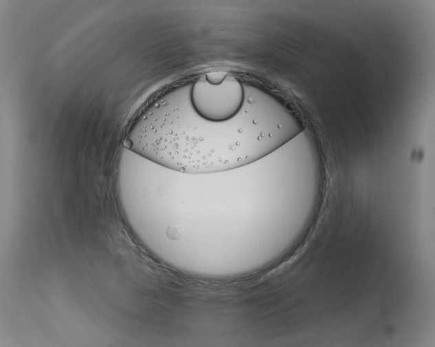 X0000115631313200911101110