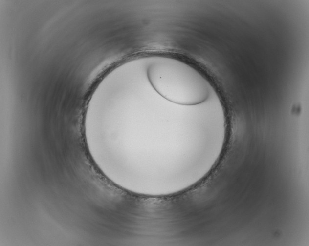 X0000115631314200911101110