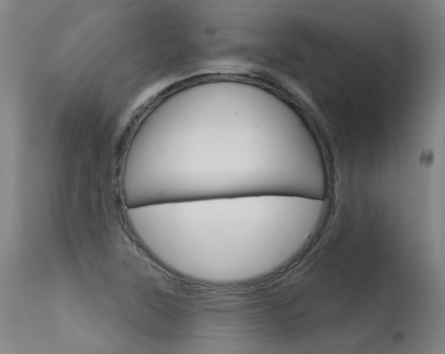 X0000115631315200911101110