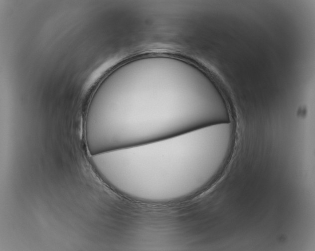 X0000115631317200911101110