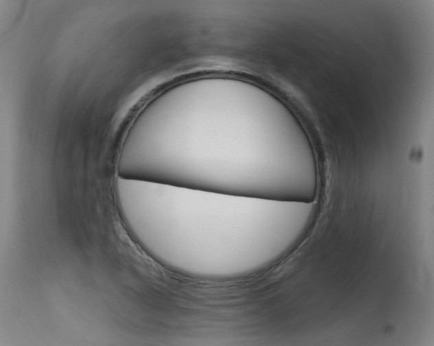 X0000115631318200911101110