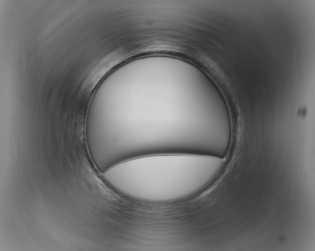X0000115631321200911101110