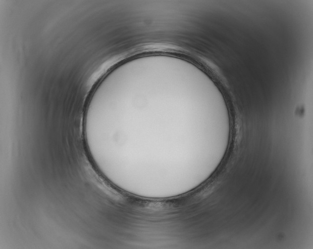 X0000115631322200911101110