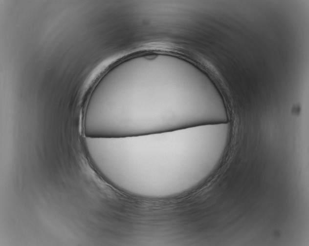 X0000115631323200911101110