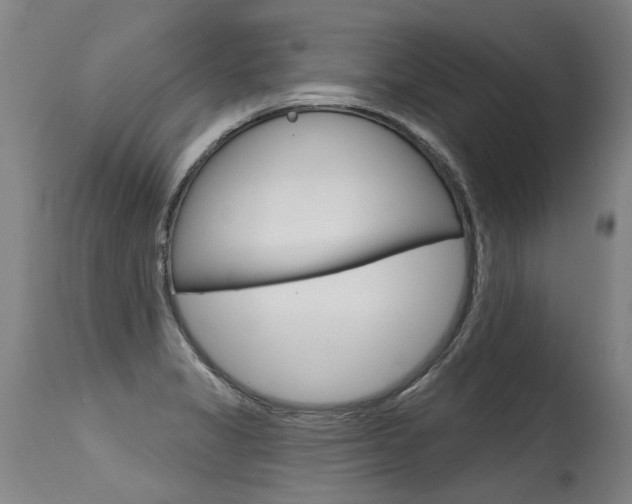 X0000115631325200911101110