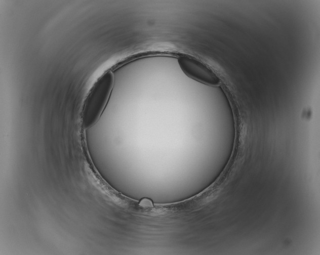 X0000115631326200911101110