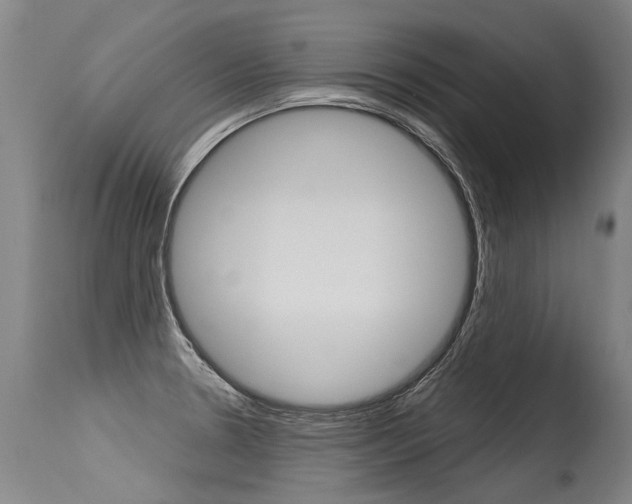 X0000115631330200911101110