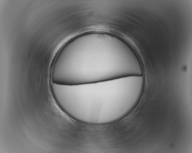 X0000115631331200911101110