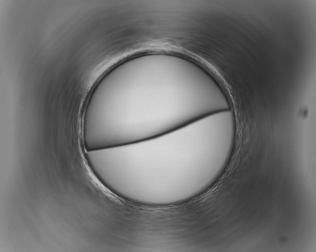 X0000115631335200911101110