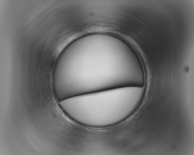 X0000115631337200911101110