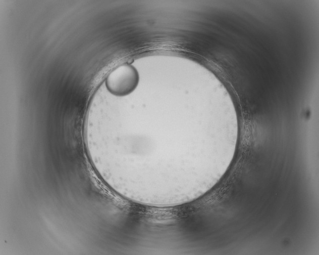 X0000115631338200911101110